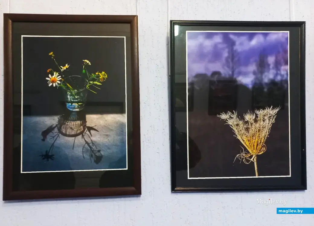 10.05.2025, Могилев. Открытие персональной фотовыставки Валентина Сидоренко «Я вижу так…».