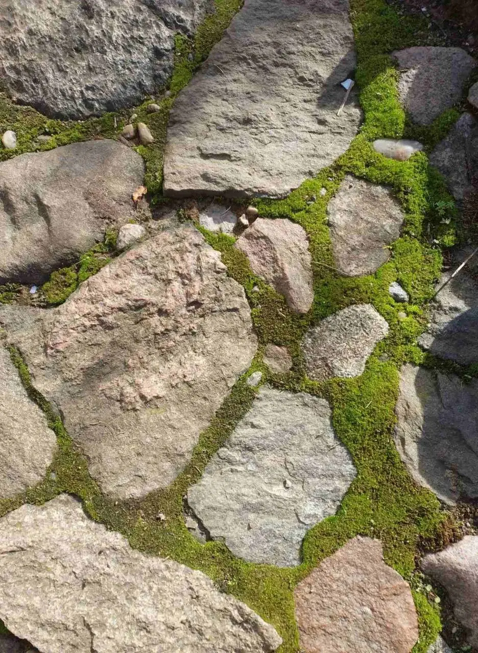 Станция Понизов Могилевской области. Мощение из природного камня с мхом.