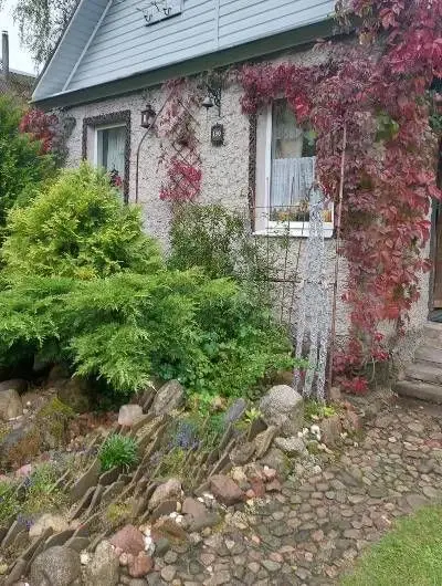 Станция Понизов Могилевская область. Входная дорожка от калитки к дому. Сделана 20 лет тому из природного камня на бетонной основе.