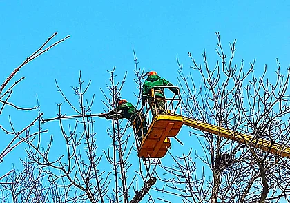Красота могилевских улиц: здесь мелочей не бывает