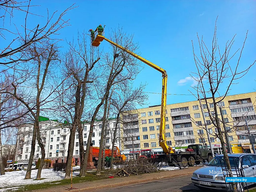 11.04.2025, Могилев, ул. Первомайская. Обрезка сучьев.