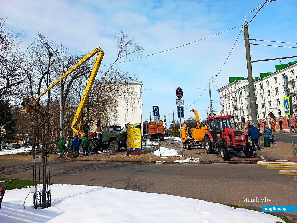 11.04.2025, Могилев, ул. Первомайская. Обрезка сучьев.