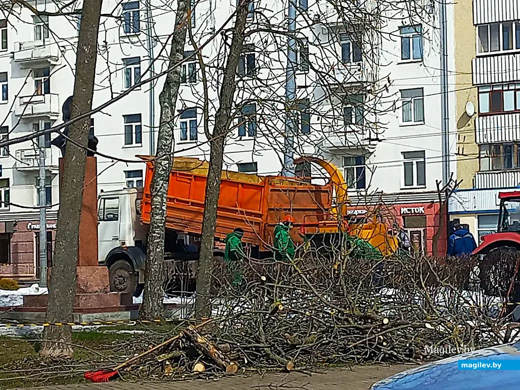 11.04.2025, Могилев, ул. Первомайская. Обрезка сучьев.