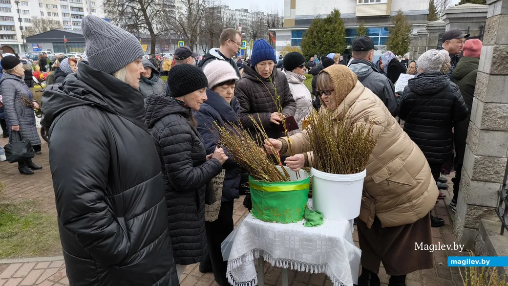 13.04.2025. Бобруйск. Вербное воскресенье в Свято-Георгиевском храме.