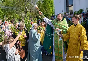 Православные отмечают Вербное воскресенье