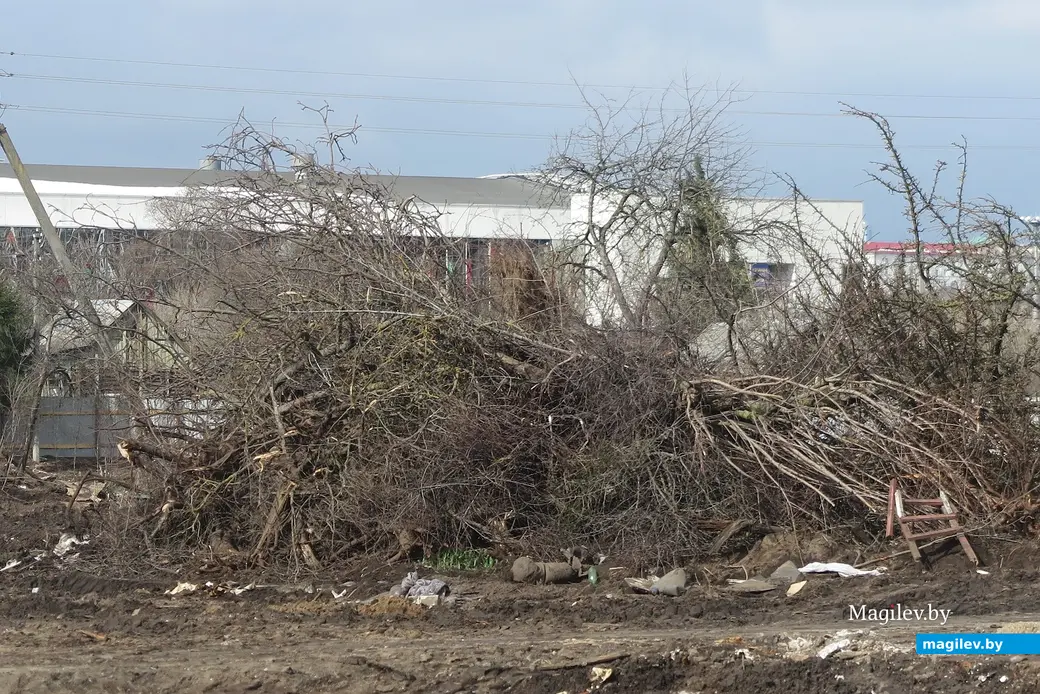 13.04.2025 г. Могилев, Заднепровье. Деревья тоже уже вырублены.