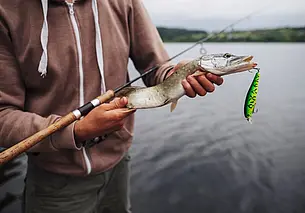 С 16 апреля в Могилевской области будет снят запрет на лов щуки