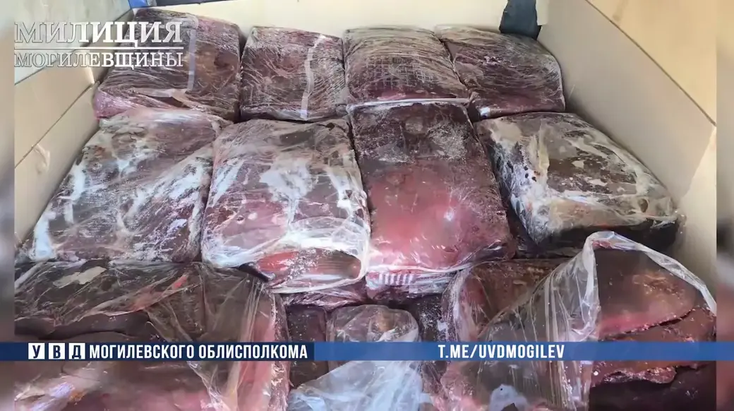 Фото: УВД Могоблисполкома