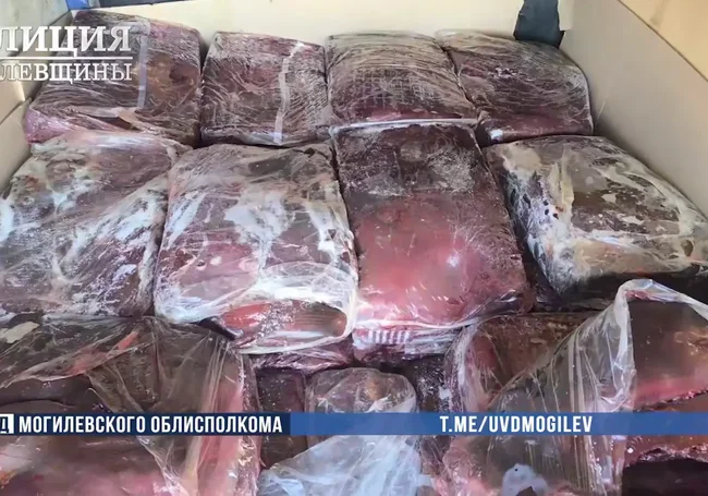Мясо без документов вез могилевчанин в Мстиславль для перепродажи в соседнюю страну