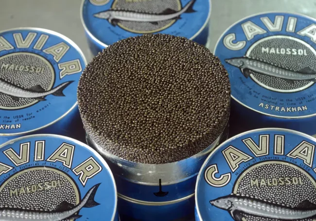 Названы главные покупатели черной икры у России. В их числе и Беларусь