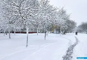 Новый год встретим с минусом и небольшим снегом. Погода с 29 декабря по 4 января