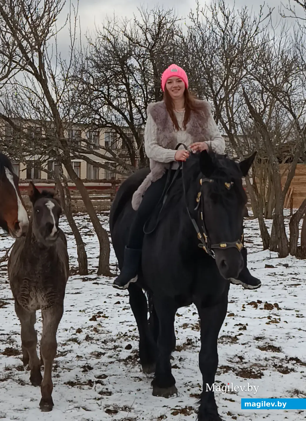 Декабрь 2025 г. Питомцы Виктории Шеремет.