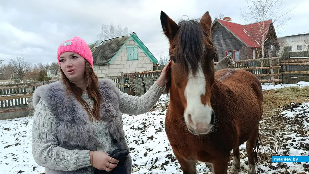 Декабрь 2025 г. Каштанка - долгожитель в конюшне Виктории.