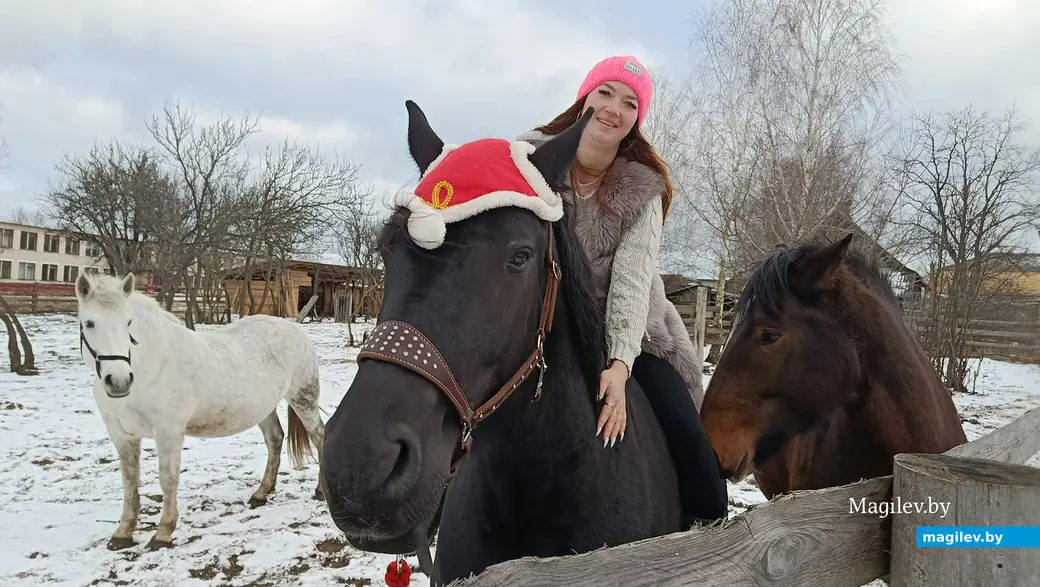 Декабрь 2025 г. Питомцы Виктории Шеремет.