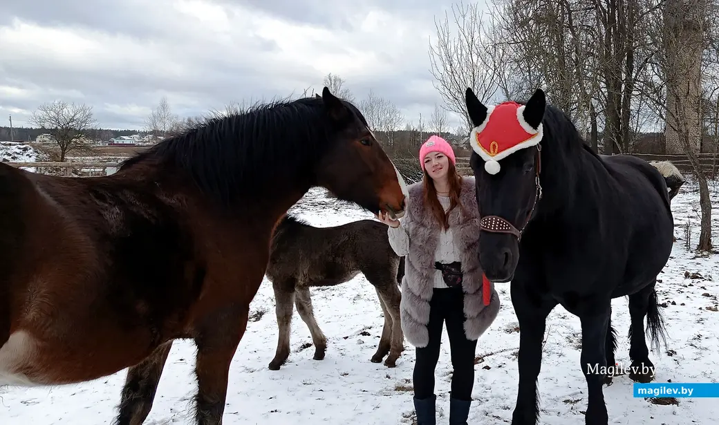 Декабрь 2025 г. Питомцы Виктории Шеремет.