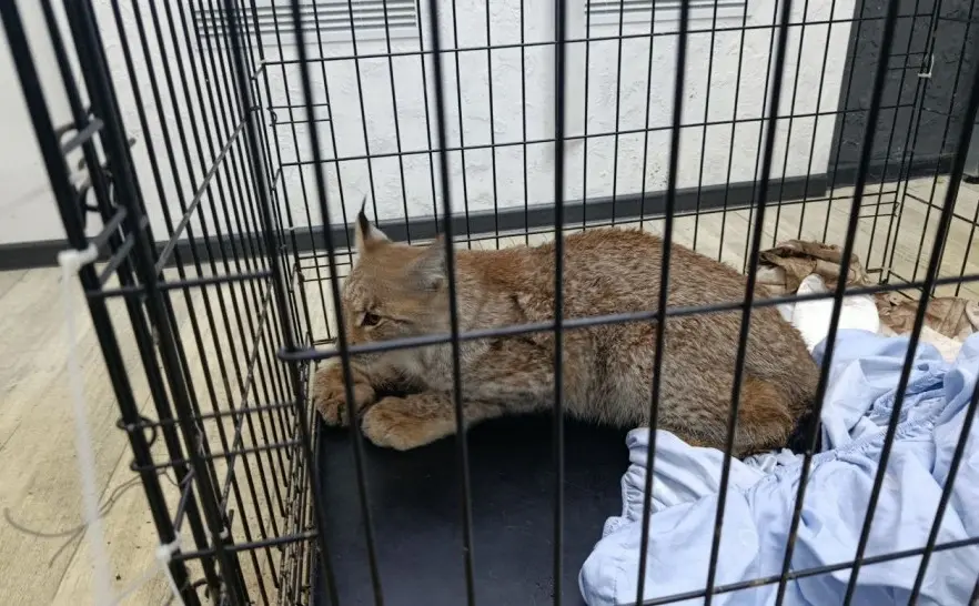 Фото Александра ЧУГУЕВА, архив редакции