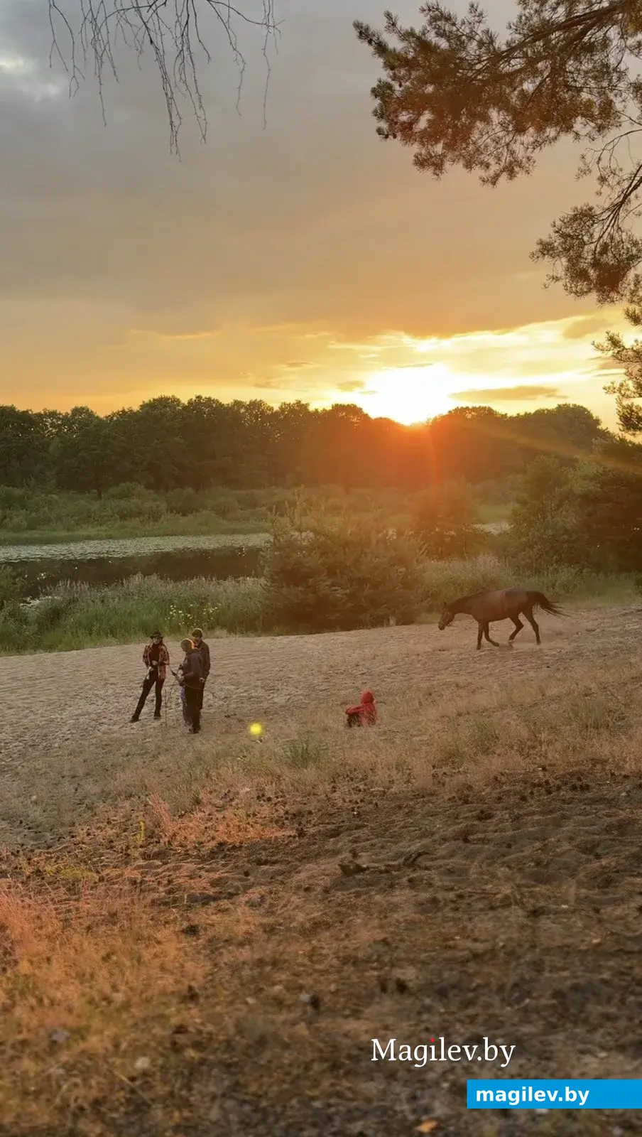 Прогулка на лошадях доступна всем желающим, любого возраста.
