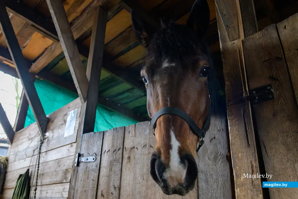 17.12.2025. Титовка. ООО «Есаул».