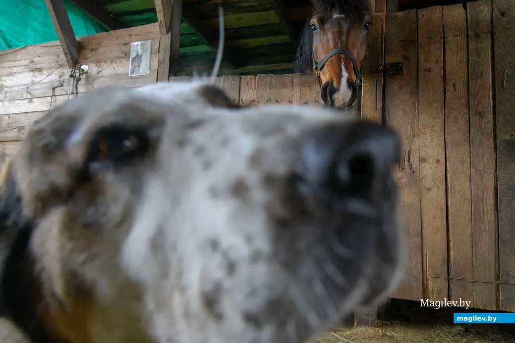 17.12.2025. Титовка. ООО «Есаул».