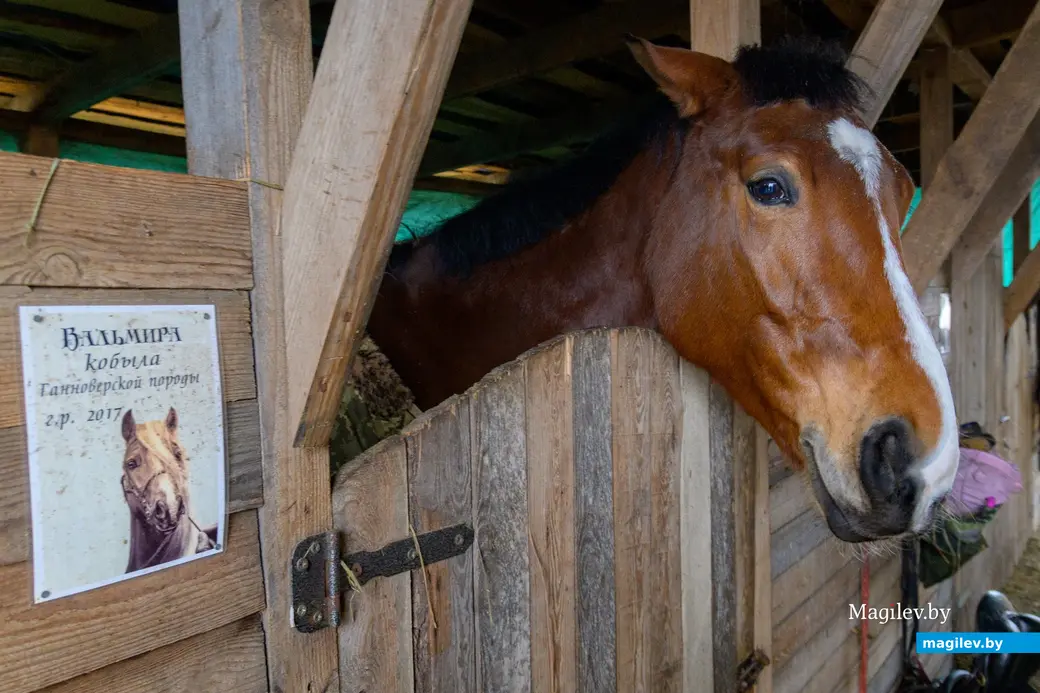 17.12.2025. Титовка. ООО «Есаул».