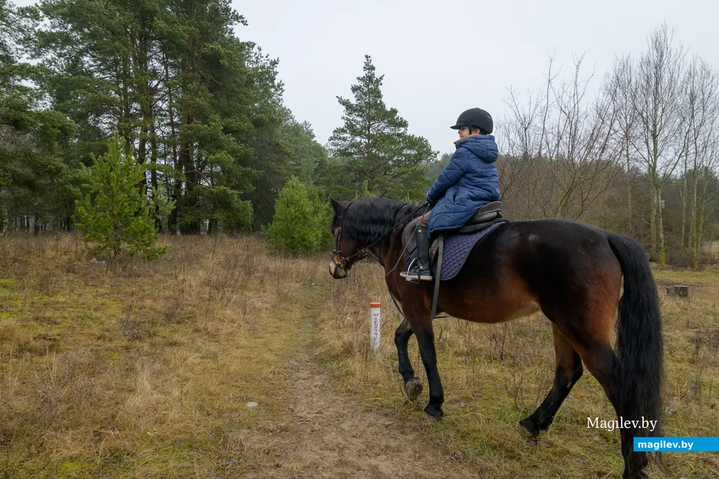 17.12.2025. Титовка. ООО «Есаул». Святослав Алиев.