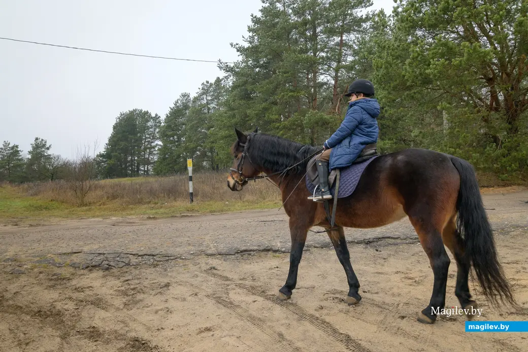 17.12.2025. Титовка. ООО «Есаул». Святослав Алиев.