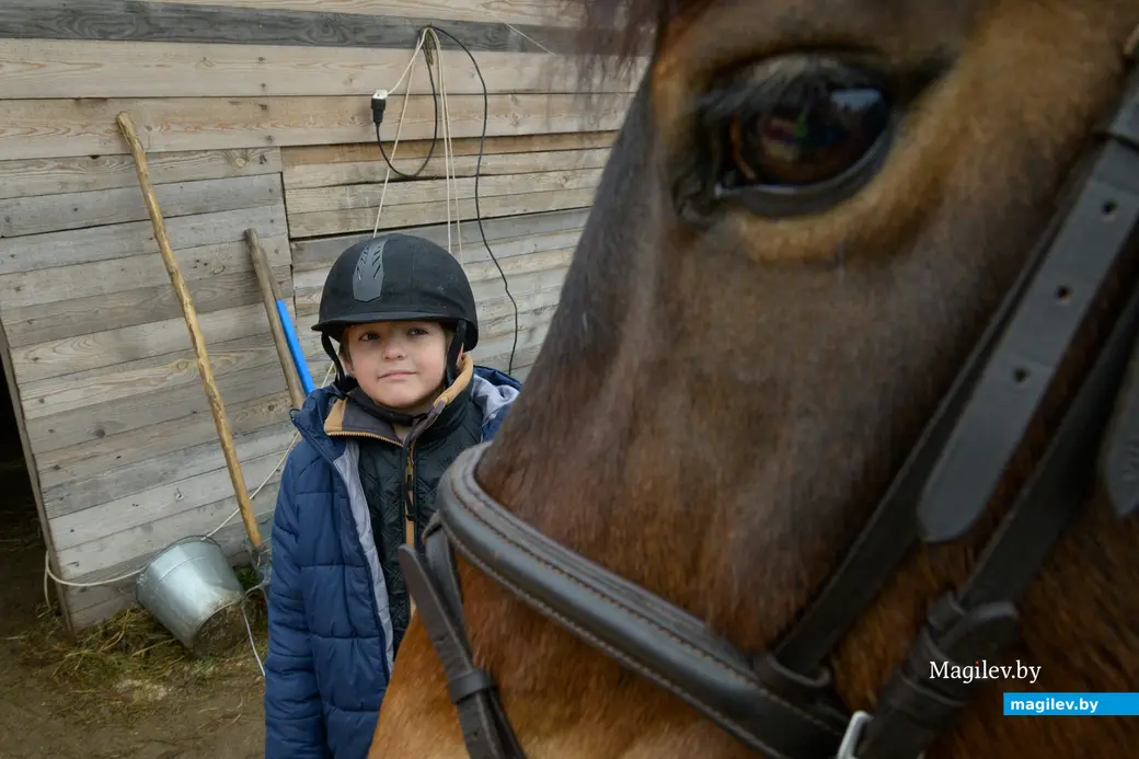 17.12.2025. Титовка. ООО «Есаул». Святослав Алиев.