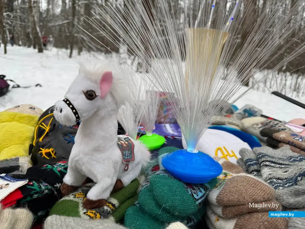 Могилев, 7 января 2026 года. Праздник «Пайшла Каляда калядуючы…» в Печерском лесопарке.