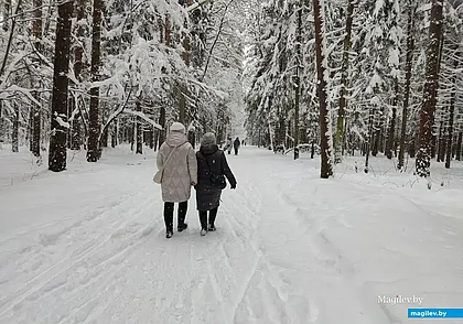 Временами снег: какой будет погода в Могилеве в среду, 7 января