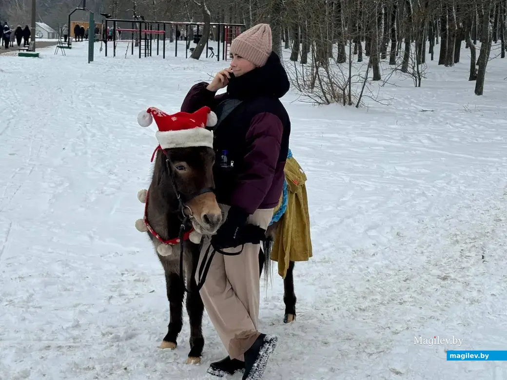 Могилев, 7 января 2026 года. Праздник «Пайшла Каляда калядуючы…» в Печерском лесопарке.