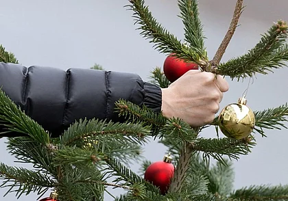 Куда деть елку после новогодних праздников? Только не в мусоропровод!