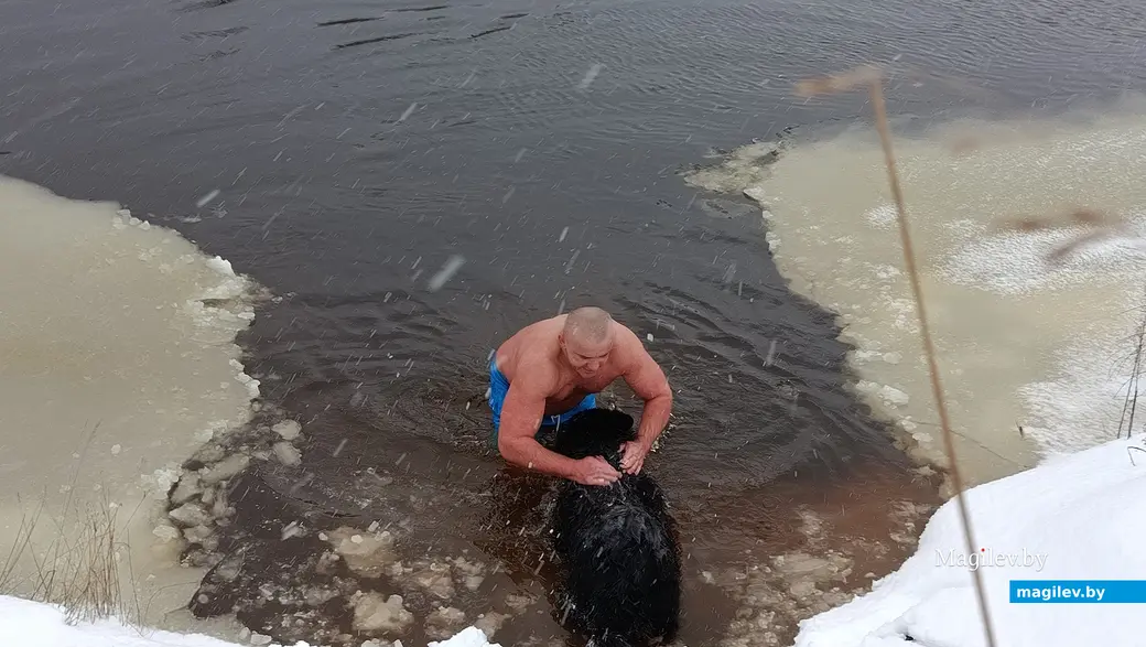 2.01.2026 г. Юрий Алёхна и его собака Багира во время зимнего плавания на реке Птичь возле Глуска.