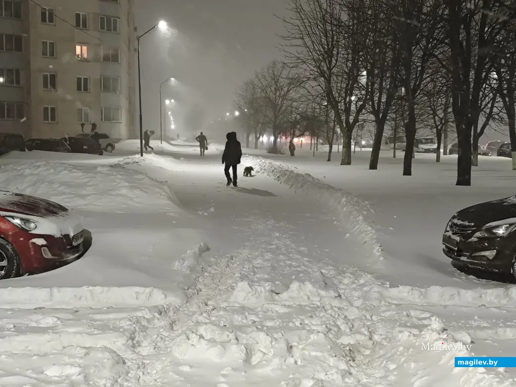 9.01.2026 г. Могилев, пр. Шмидта. Фото Галины Покровской