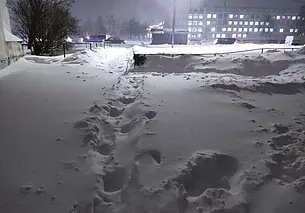 Снег и до 13 градусов мороза: какой будет погода в Могилеве в понедельник, 12 января