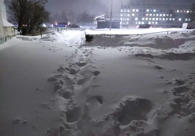Снег и до 13 градусов мороза: какой будет погода в Могилеве в понедельник, 12 января