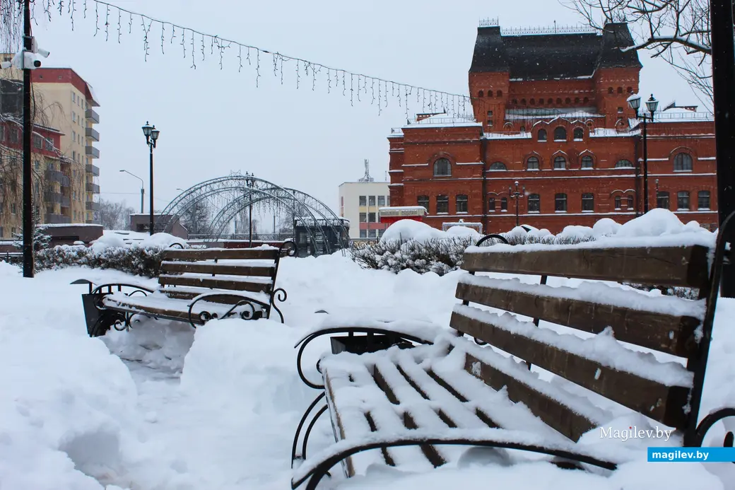 12 января 2026 года. Могилев. В городе метель.