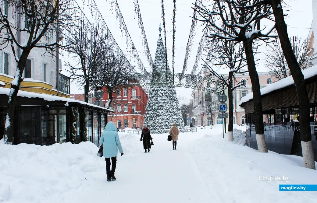 12 января 2026 года. Могилев. В городе метель.