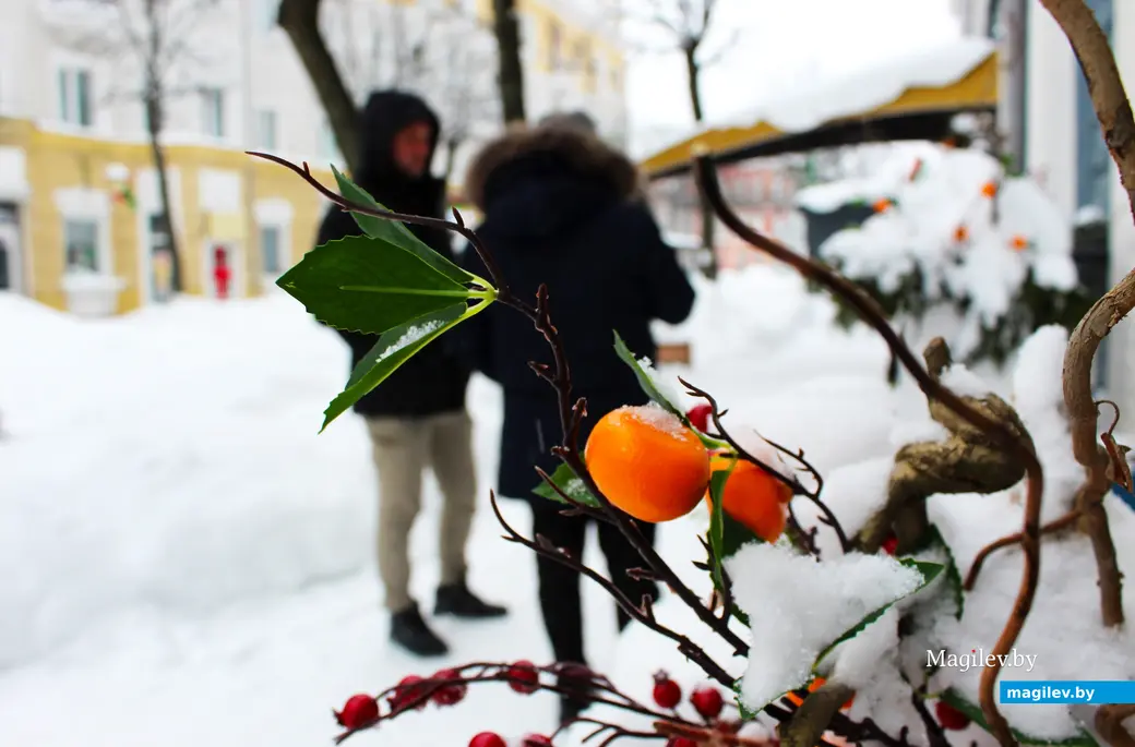 12 января 2026 года. Могилев. В городе метель.