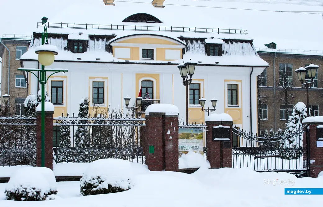 12 января 2026 года. Могилев. В городе метель.