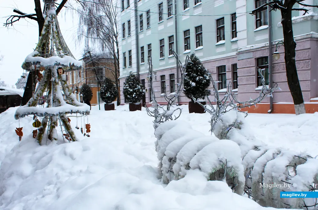 12 января 2026 года. Могилев. В городе метель.
