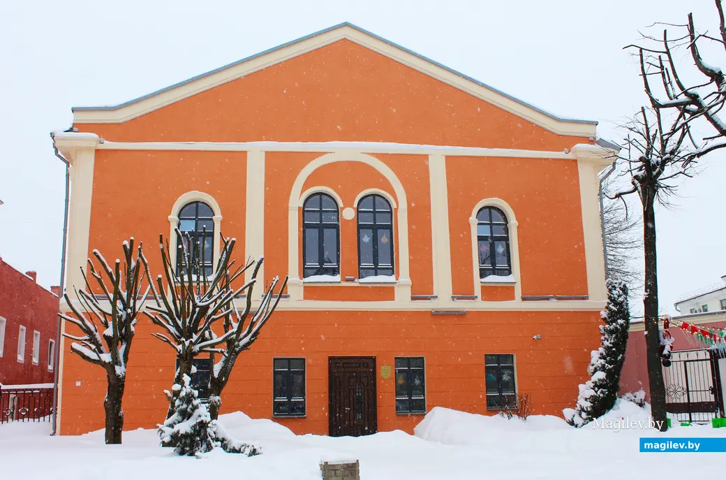 12 января 2026 года. Могилев. В городе метель.