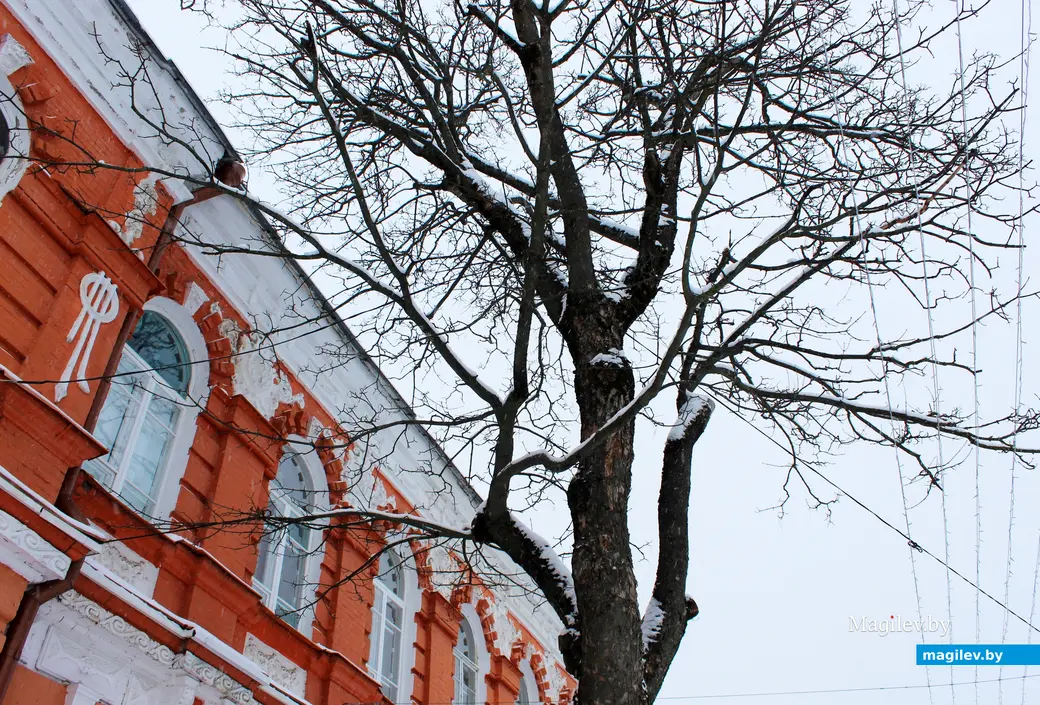 12 января 2026 года. Могилев. В городе метель.