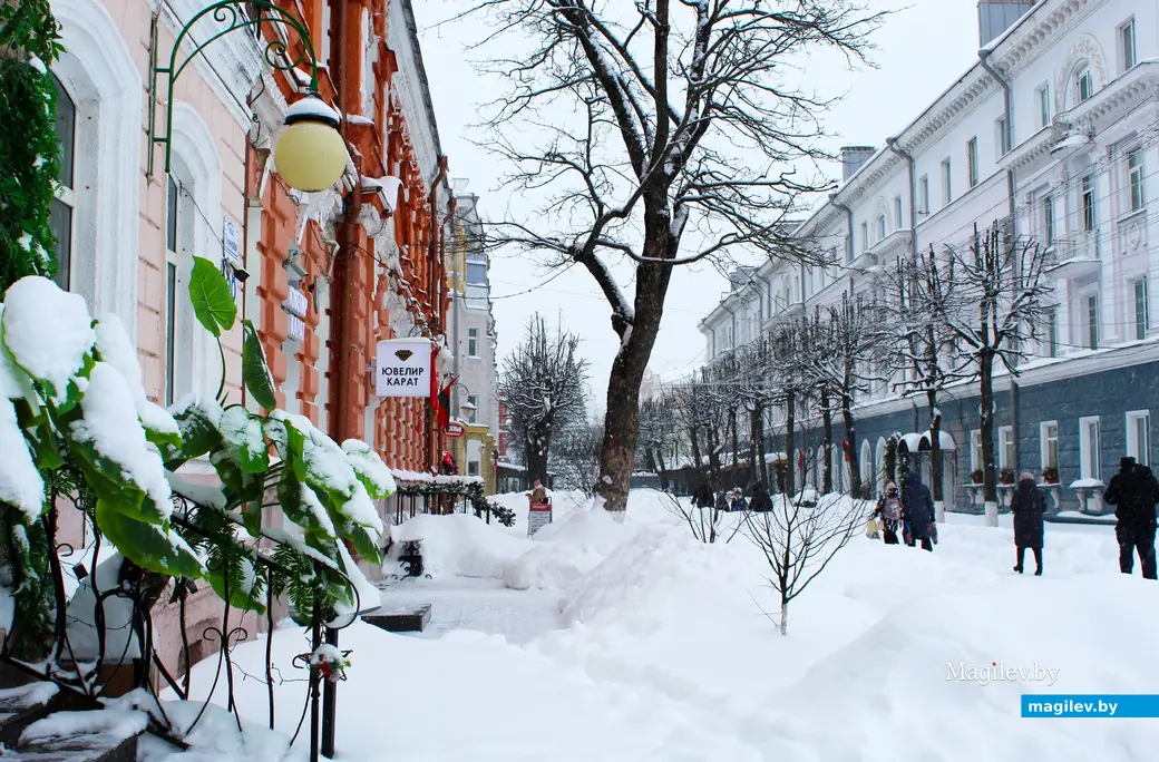 12 января 2026 года. Могилев. В городе метель.