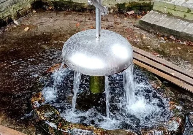 В Полыковичах в воде из криницы обнаружили нитраты: купаться можно, пить – нежелательно