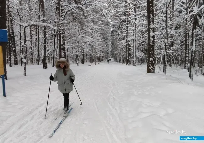 Преимущественно без осадков и до -16°Ϲ: погода в Могилеве в 15 января