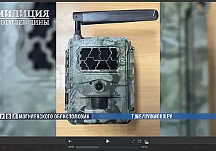 Бобруйчанин украл в лесу фотоловушку стоимостью более 1 тысячи рублей