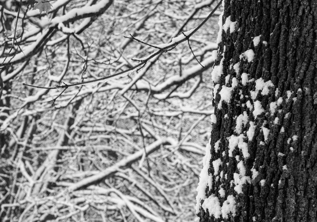 Температурный рекорд почти 40-летней давности побит в Кличеве: минус 27,8 градуса