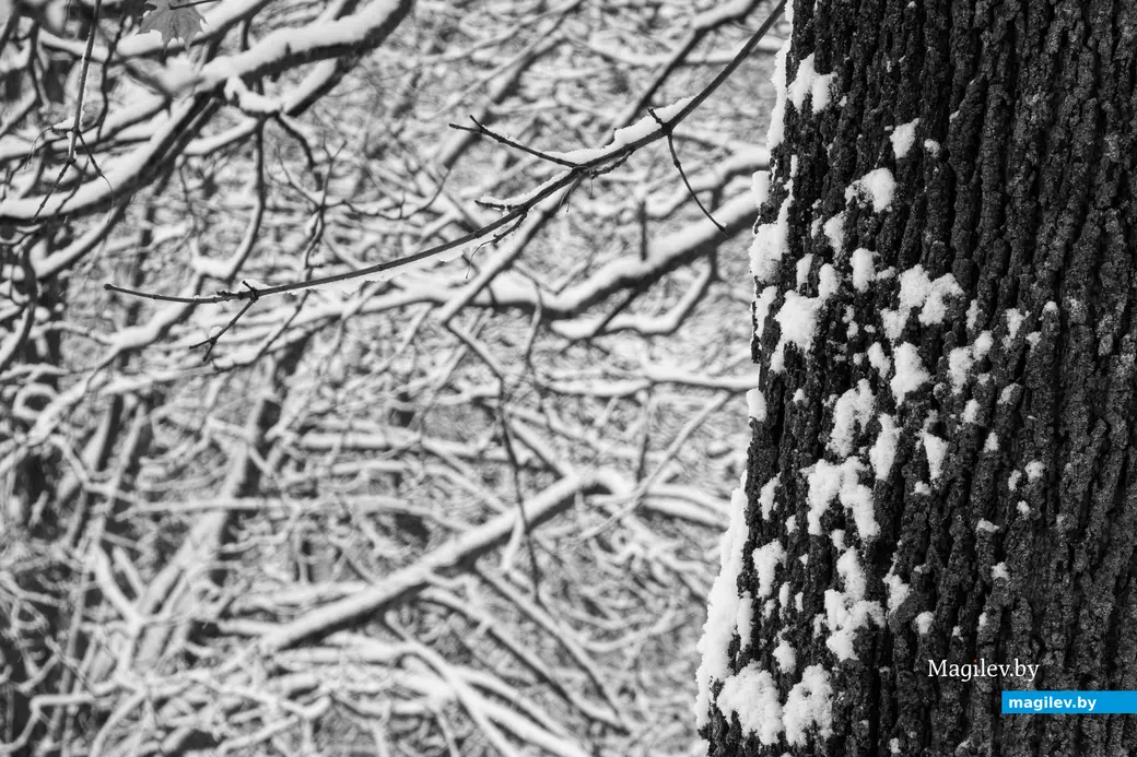 Аномальные морозы привели к новому температурному рекорду. Фото: Александр Чугуев.
