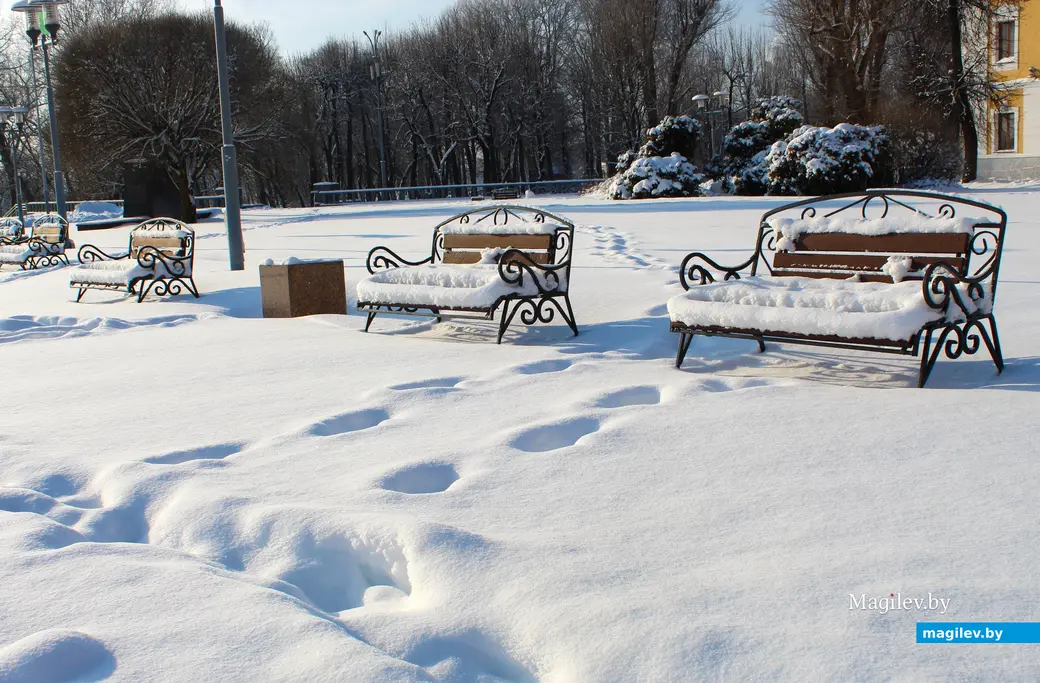  Январь 2026 года. Могилев. Фото Галины Покровской. 