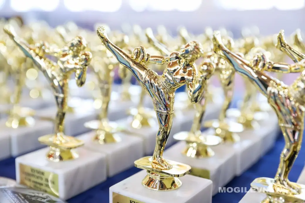  16.01.2026 года. Турнир по тайскому боксу «Золотой лев» проходит в Могилеве. Фото: mogilevnews.by.